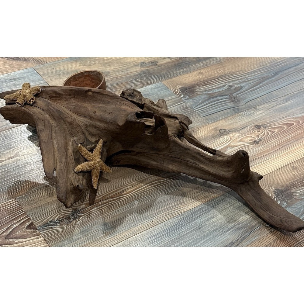 Driftwood Art Sculpture With Seashells And Planter 18x25"